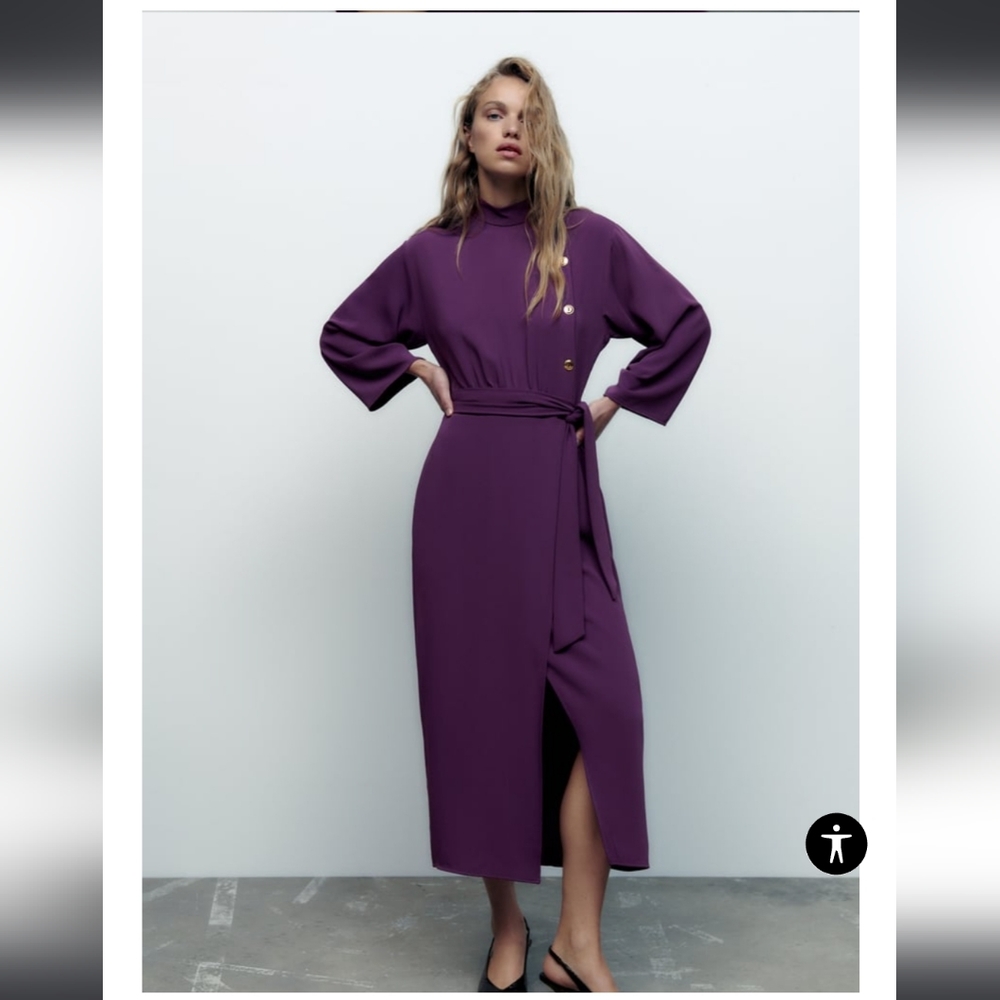 ZARA 👗  Dress